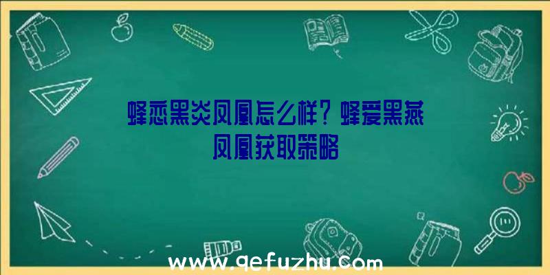 蜂恋黑炎凤凰怎么样？